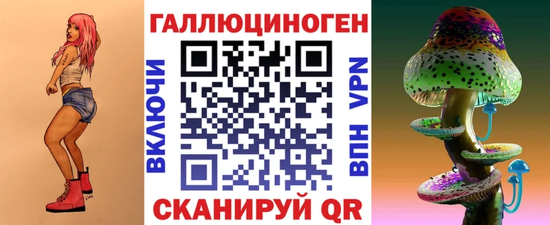 как найти   Макаров  Псилоцибиновые грибы Psilocybe 